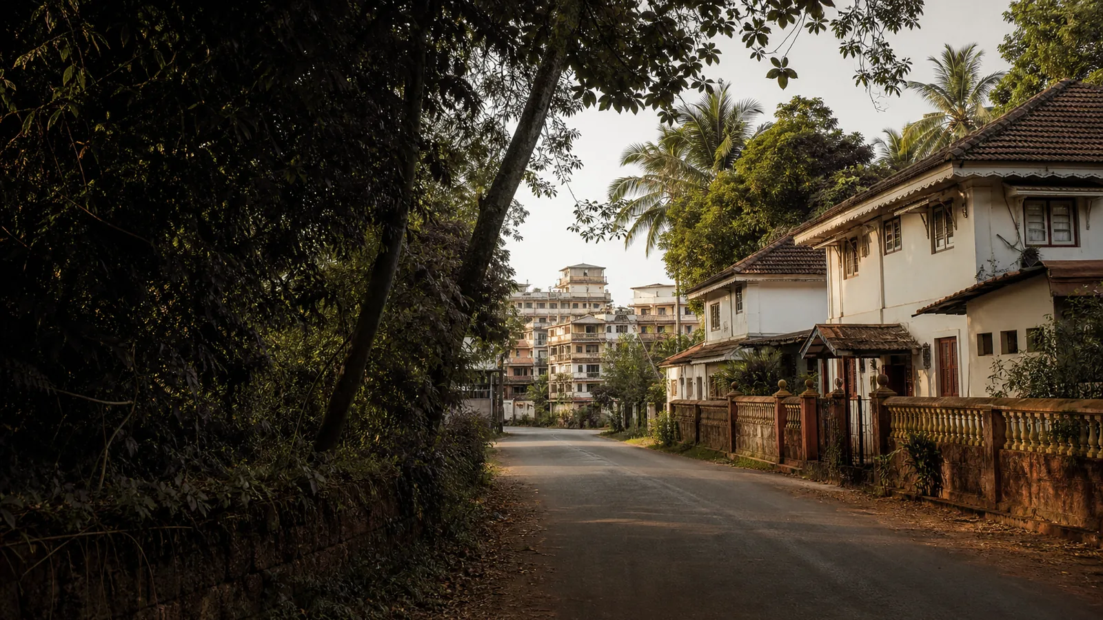 A quiet lane between houses, palms overhead